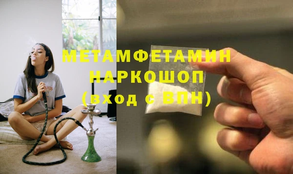 шишки Беломорск