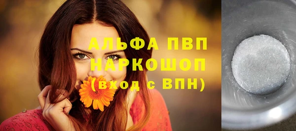 шишки Беломорск