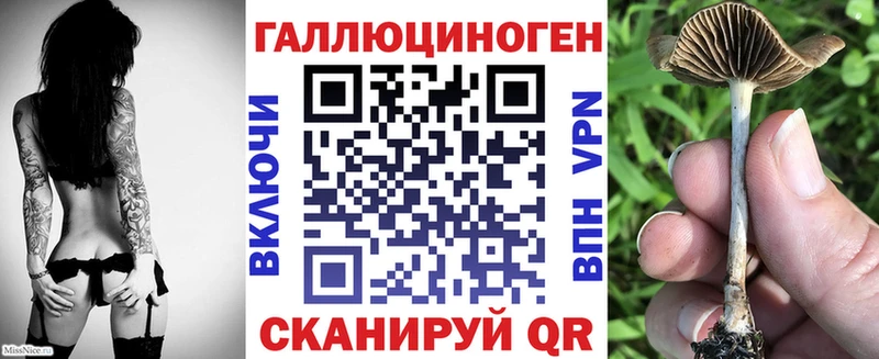 Псилоцибиновые грибы GOLDEN TEACHER  купить закладку  Волгореченск 