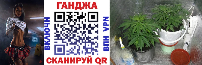 МЕГА как войти  Волгореченск  Шишки марихуана марихуана 